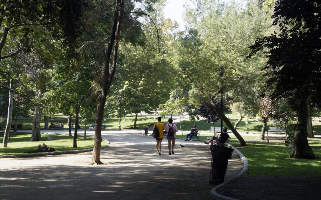 Caminata Parque Forestal Luciano Kulczewski