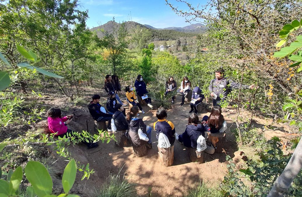 Bosque Urbano con método Miyawaki de restauración ecológica