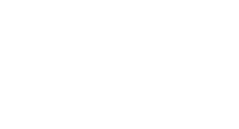 Fundación Imagen de Chile