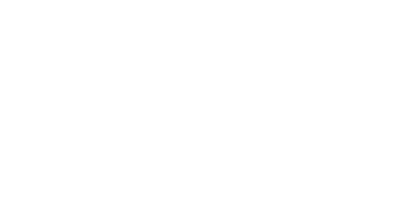 Entrada Liberada